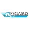 Logo Pegasus